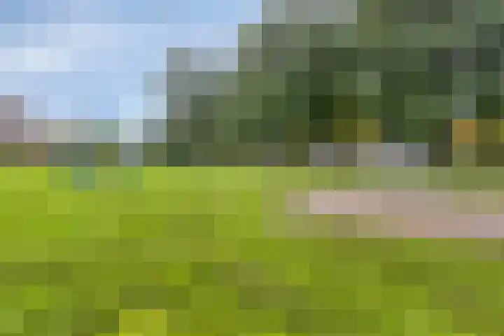 Callenburghlaan 33 Willemstad thumbnail 44