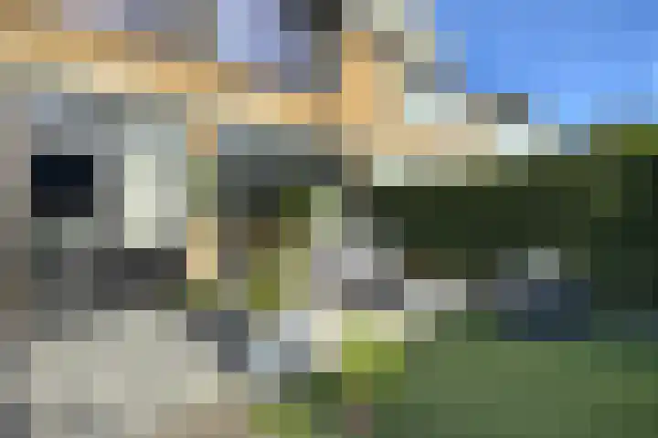Callenburghlaan 42 Willemstad thumbnail 47