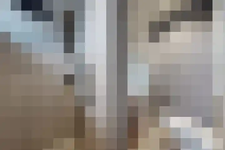 Callenburghlaan 64 Willemstad thumbnail 5