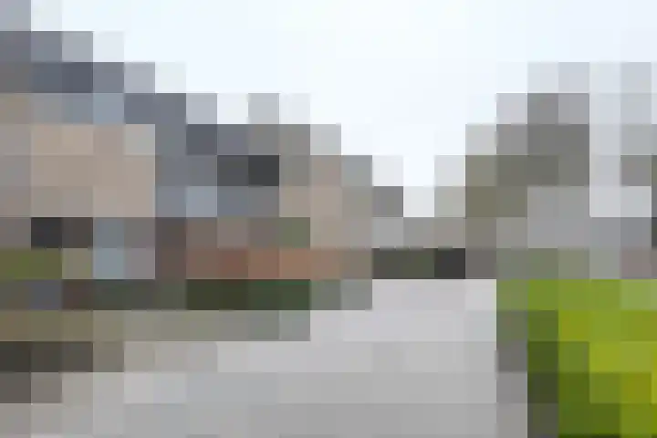 Callenburghlaan 64 Willemstad thumbnail 55