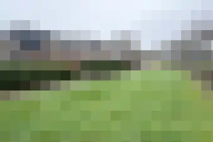 Callenburghlaan 64 Willemstad thumbnail 58