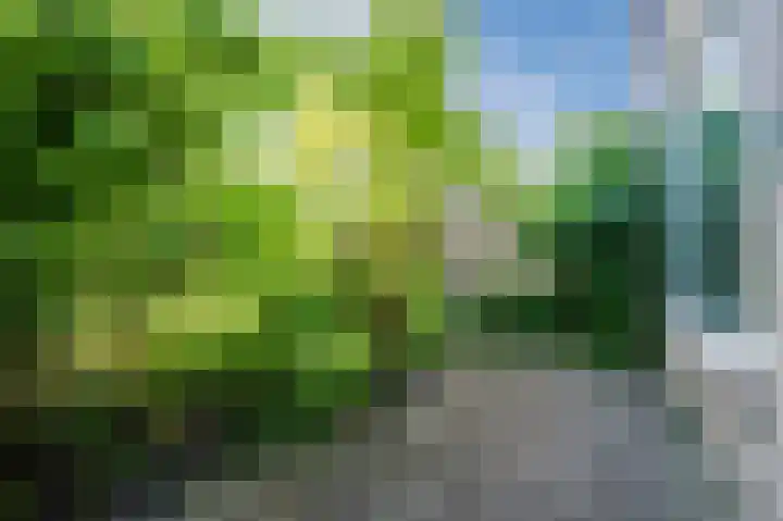Callenburghplantsoen 15 Voorschoten thumbnail 27