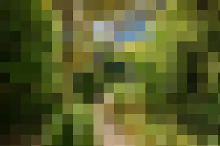 Callenburghplantsoen 15 Voorschoten thumbnail 29