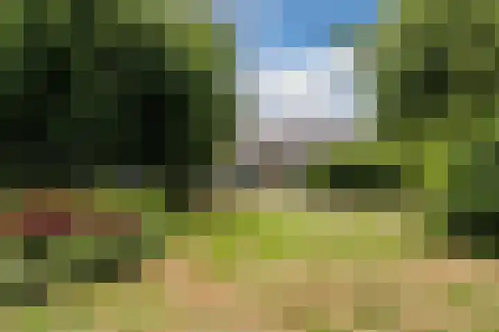 Callenburghplantsoen 15 Voorschoten thumbnail 32
