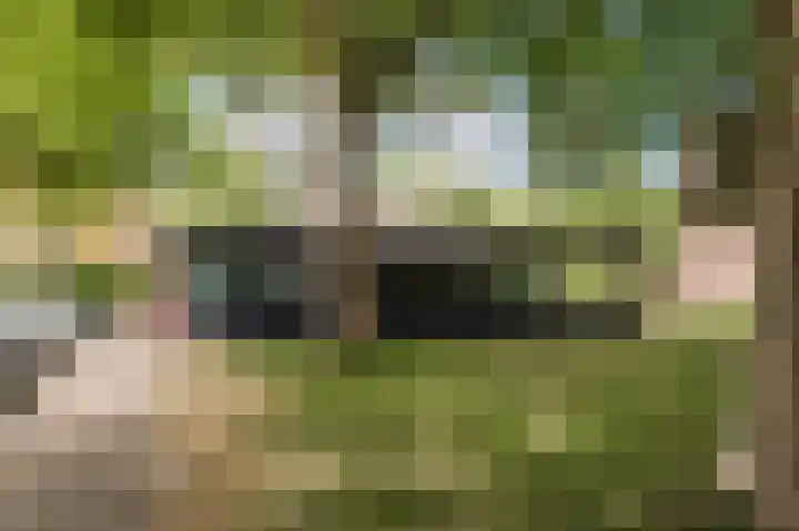 Callenburghplantsoen 15 Voorschoten thumbnail 33