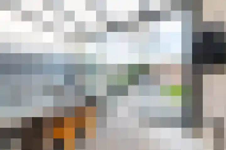 Callenburghstraat 20 Veghel thumbnail 37