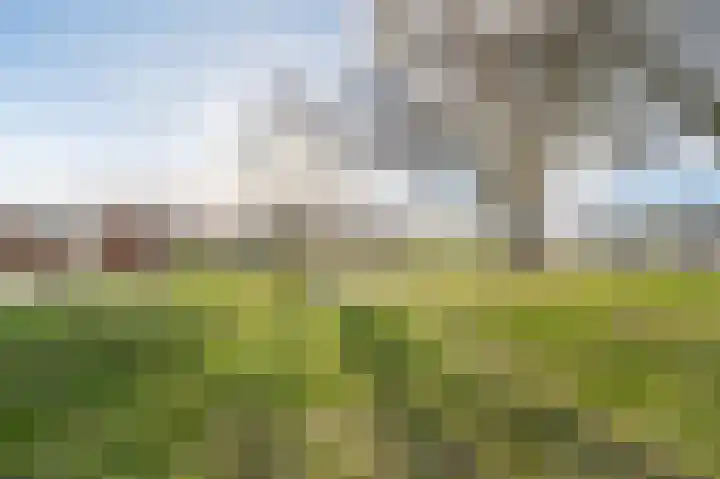 Callenburghstraat 20 Veghel thumbnail 45