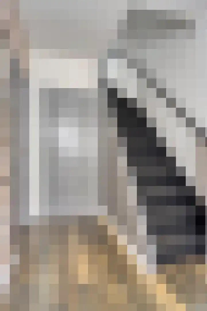 Callenburghstraat 28 Veghel thumbnail 4