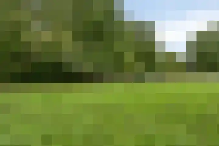Callenburghstraat 28 Veghel thumbnail 41