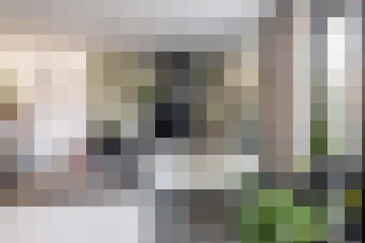 Callenburgstraat 112 Vlaardingen thumbnail 17