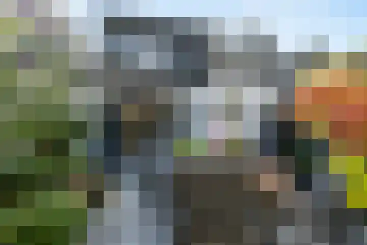 Callenburgstraat 112 Vlaardingen foto 3