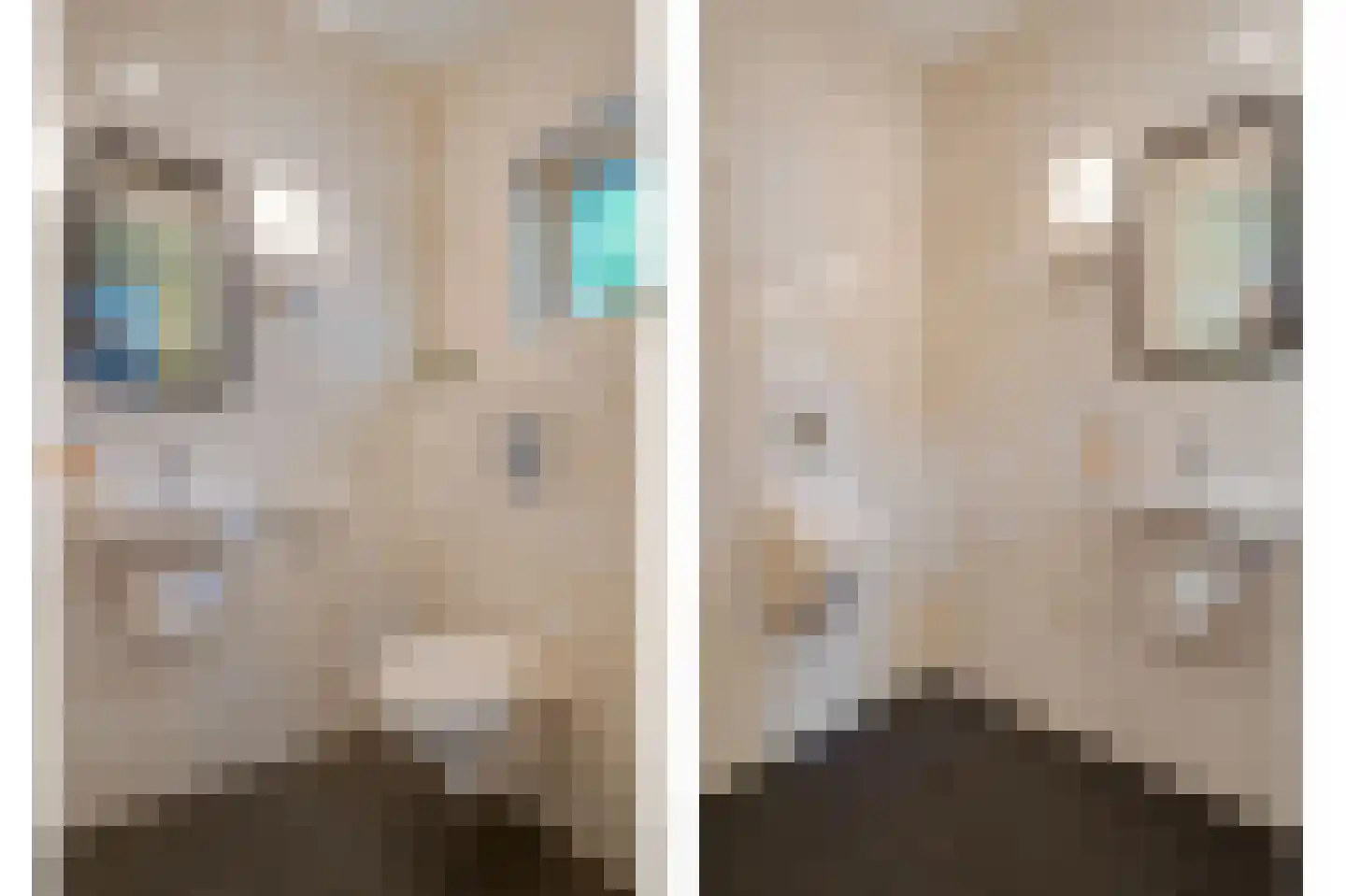 Callenfelsweg 3 IJhorst thumbnail 38