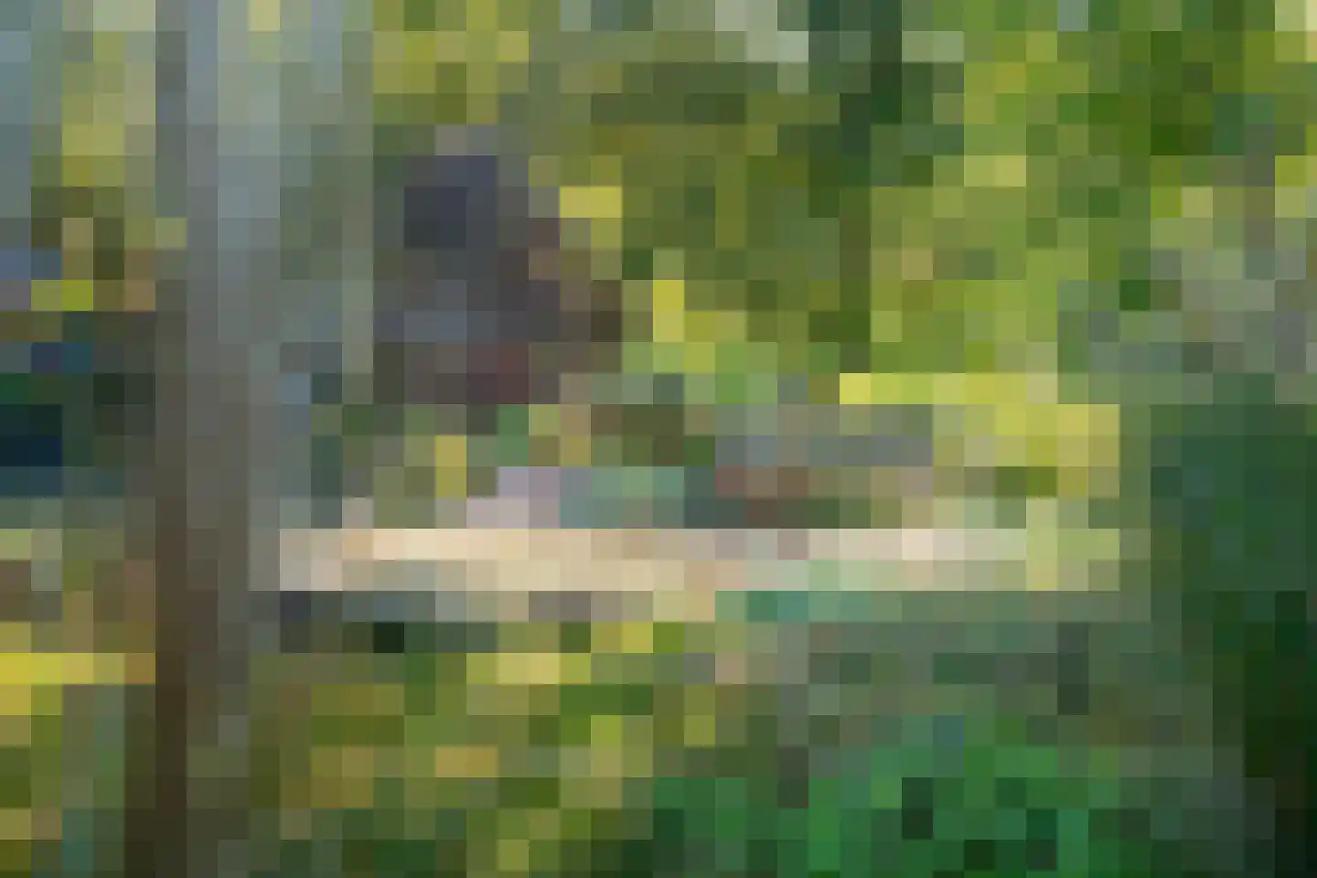 Callenfelsweg 3 IJhorst thumbnail 71