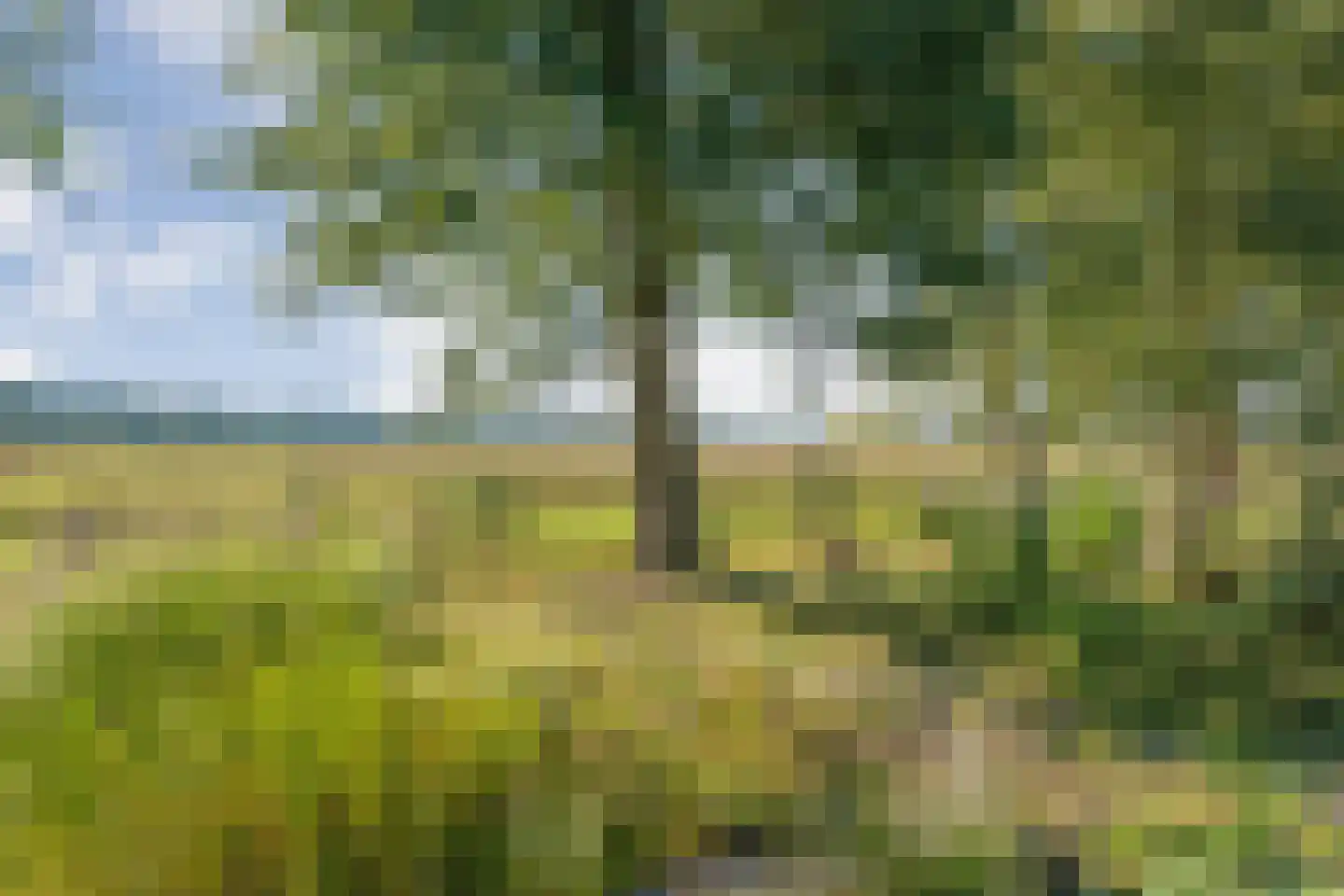 Callenfelsweg 3 IJhorst thumbnail 72