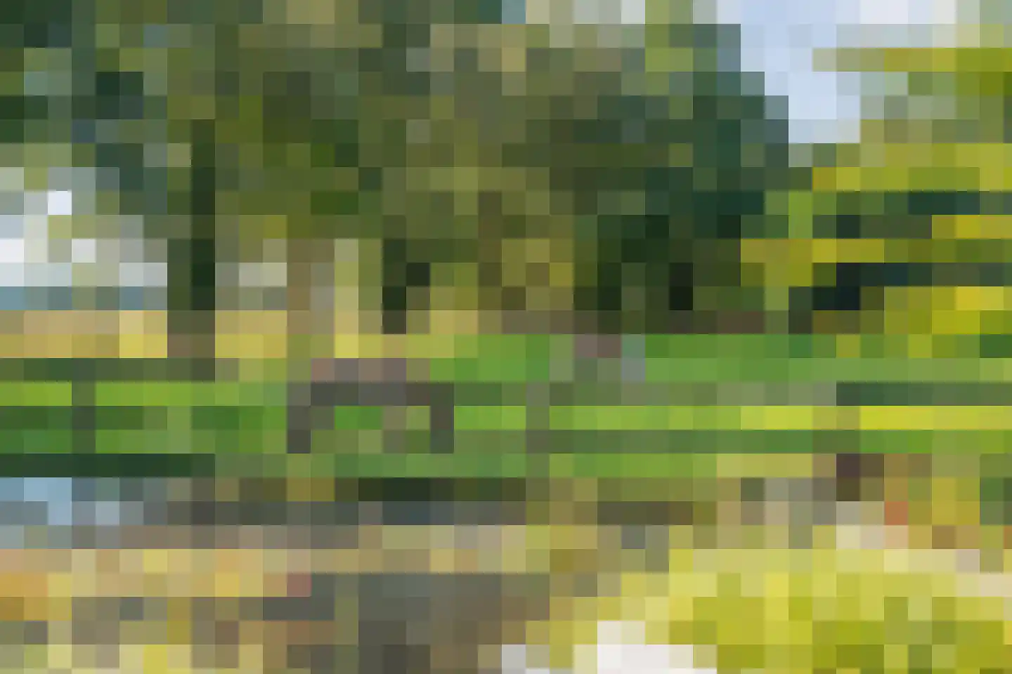 Callenfelsweg 3 IJhorst thumbnail 79