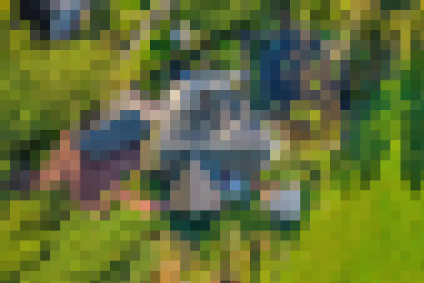 Callenfelsweg 3 IJhorst thumbnail 84