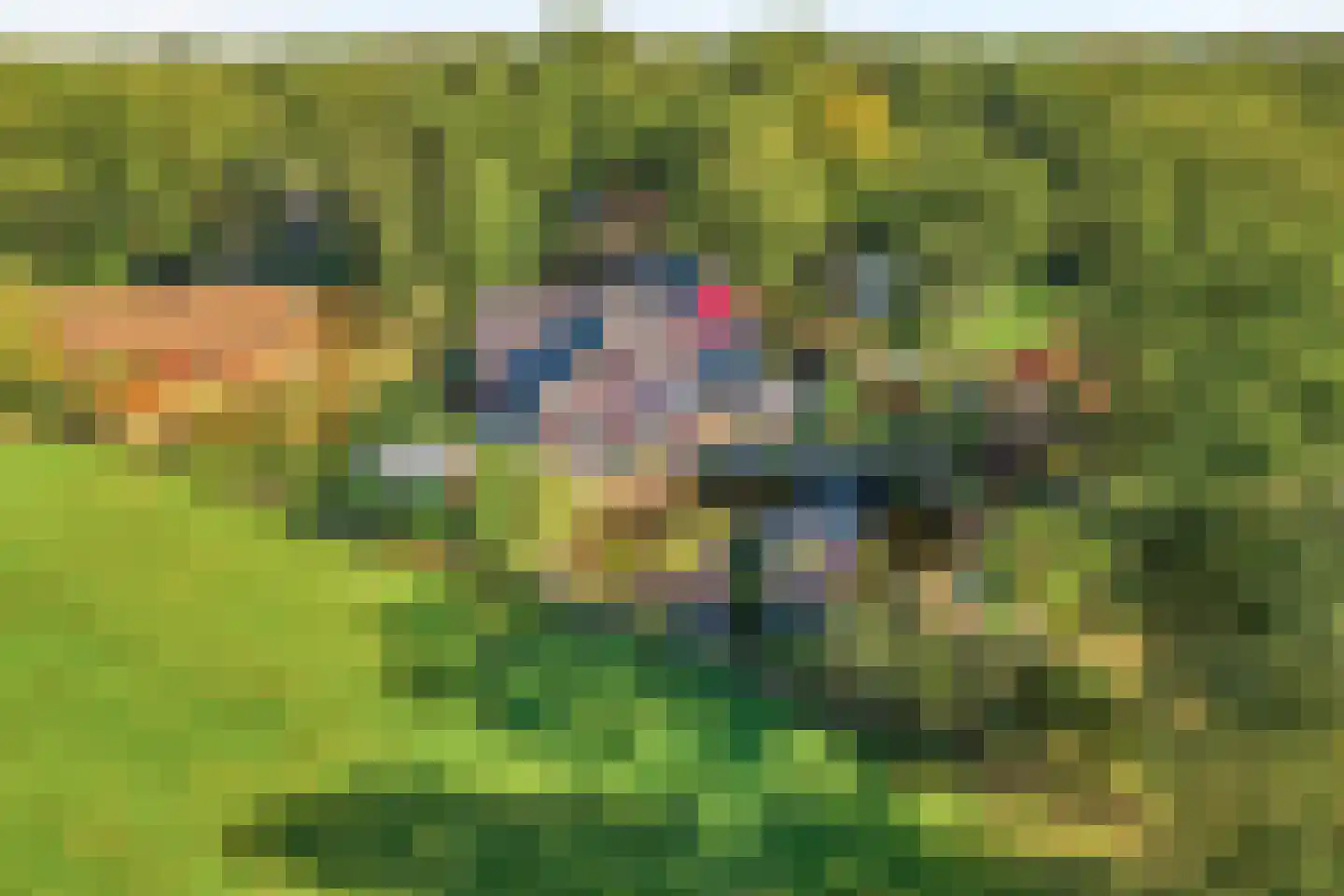 Callenfelsweg 3 IJhorst thumbnail 85