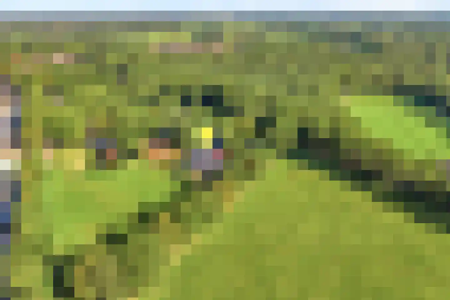 Callenfelsweg 3 IJhorst thumbnail 86
