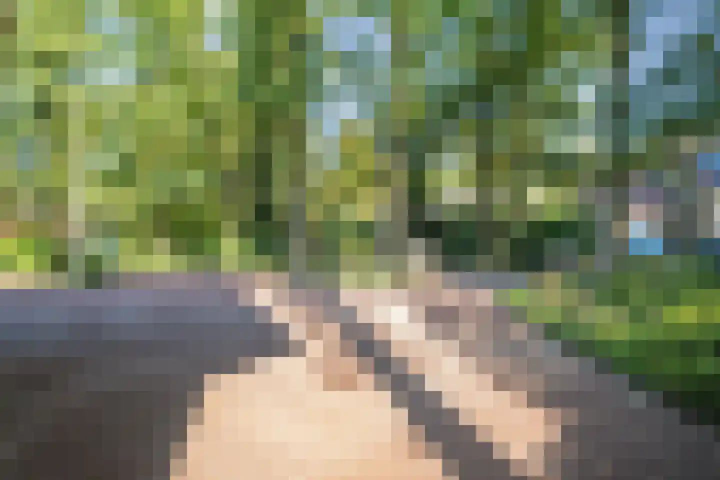 Callenfelsweg 3 IJhorst thumbnail 88