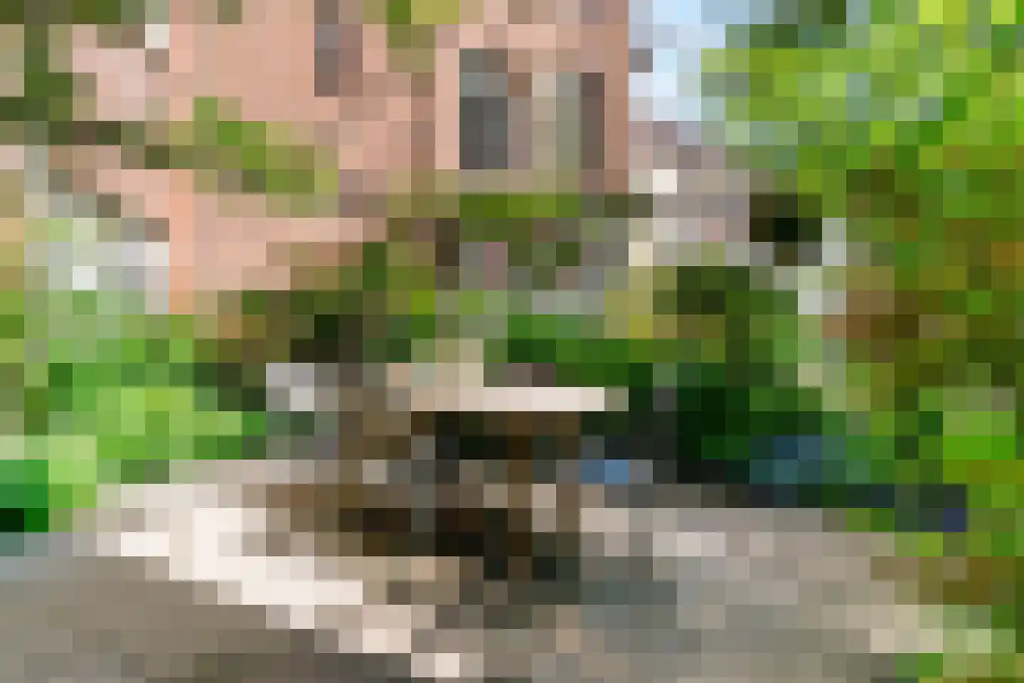 Calliopestraat 16 Den Haag thumbnail 11