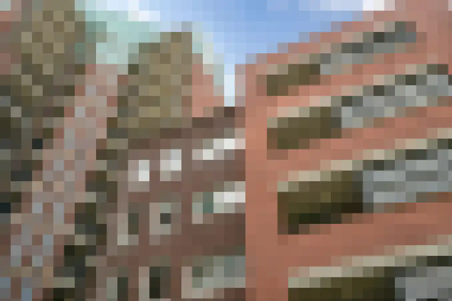 Calliopestraat 50 Den Haag thumbnail 35