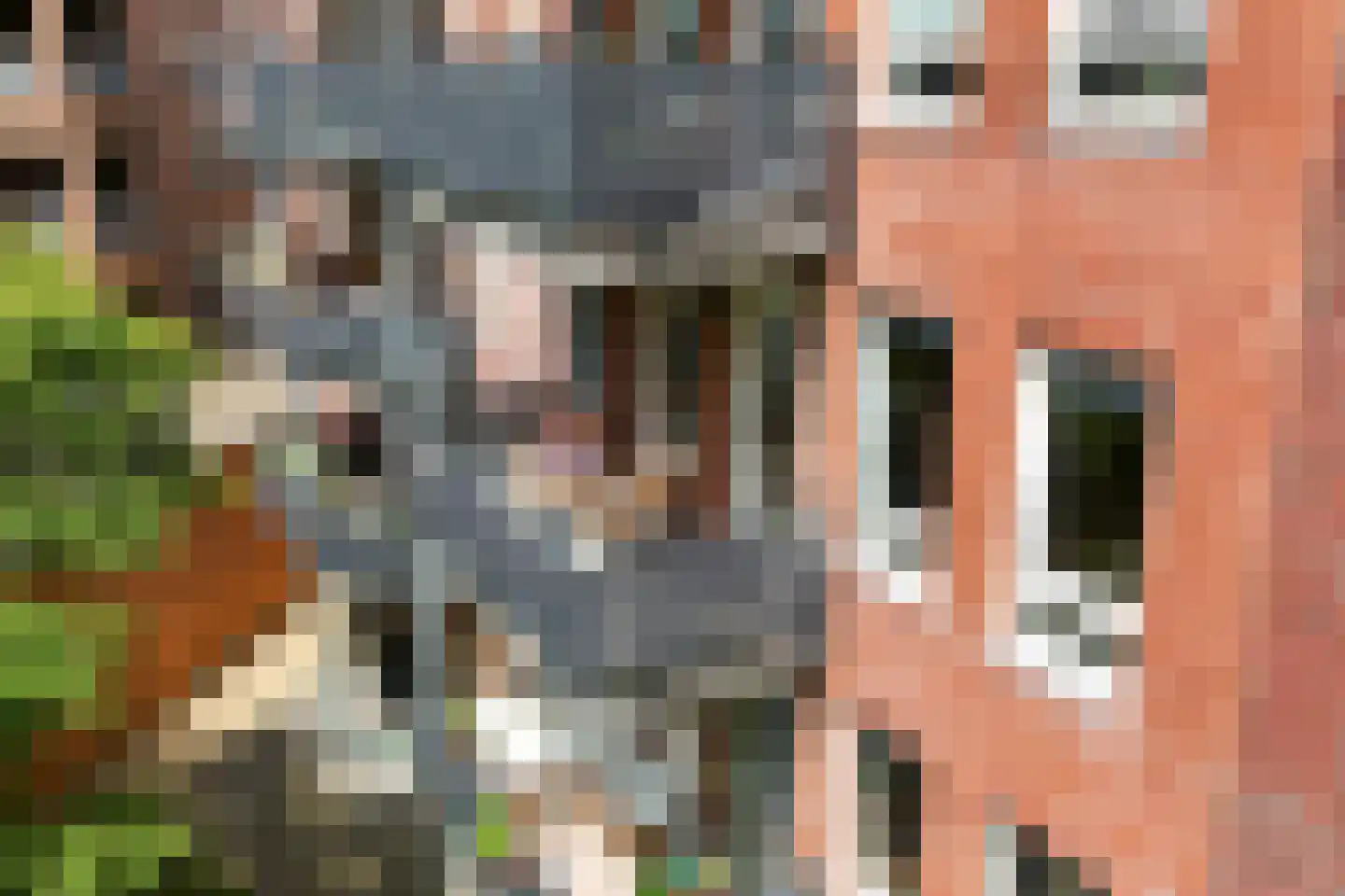 Calliopestraat 65 Den Haag thumbnail 23