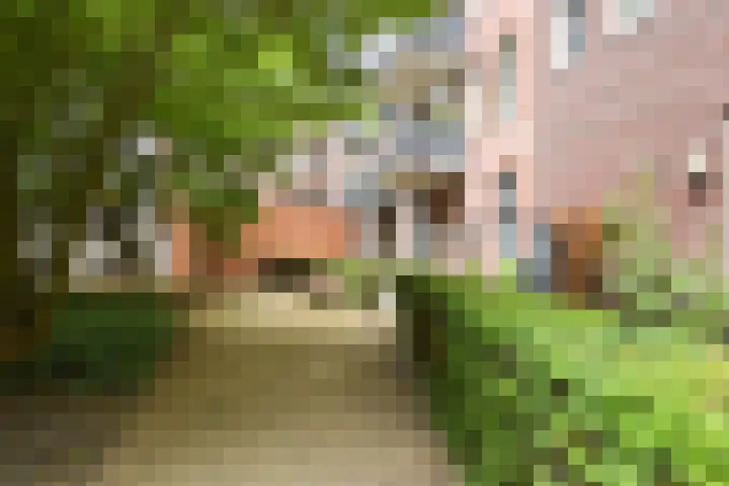Calliopestraat 65 Den Haag thumbnail 47