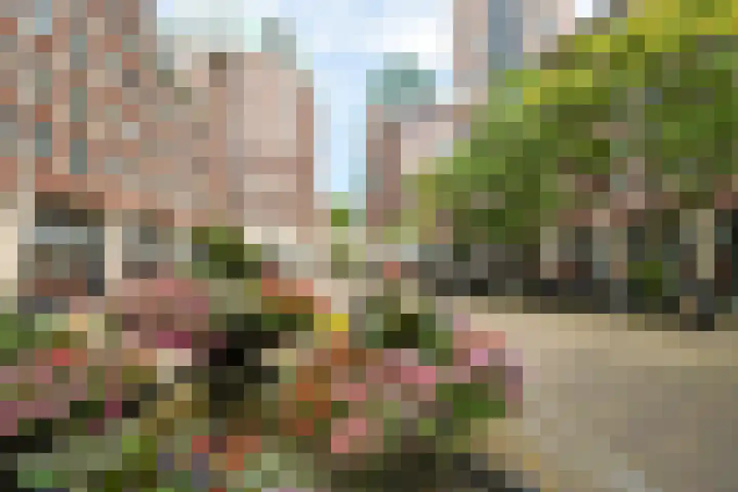 Calliopestraat 65 Den Haag thumbnail 49