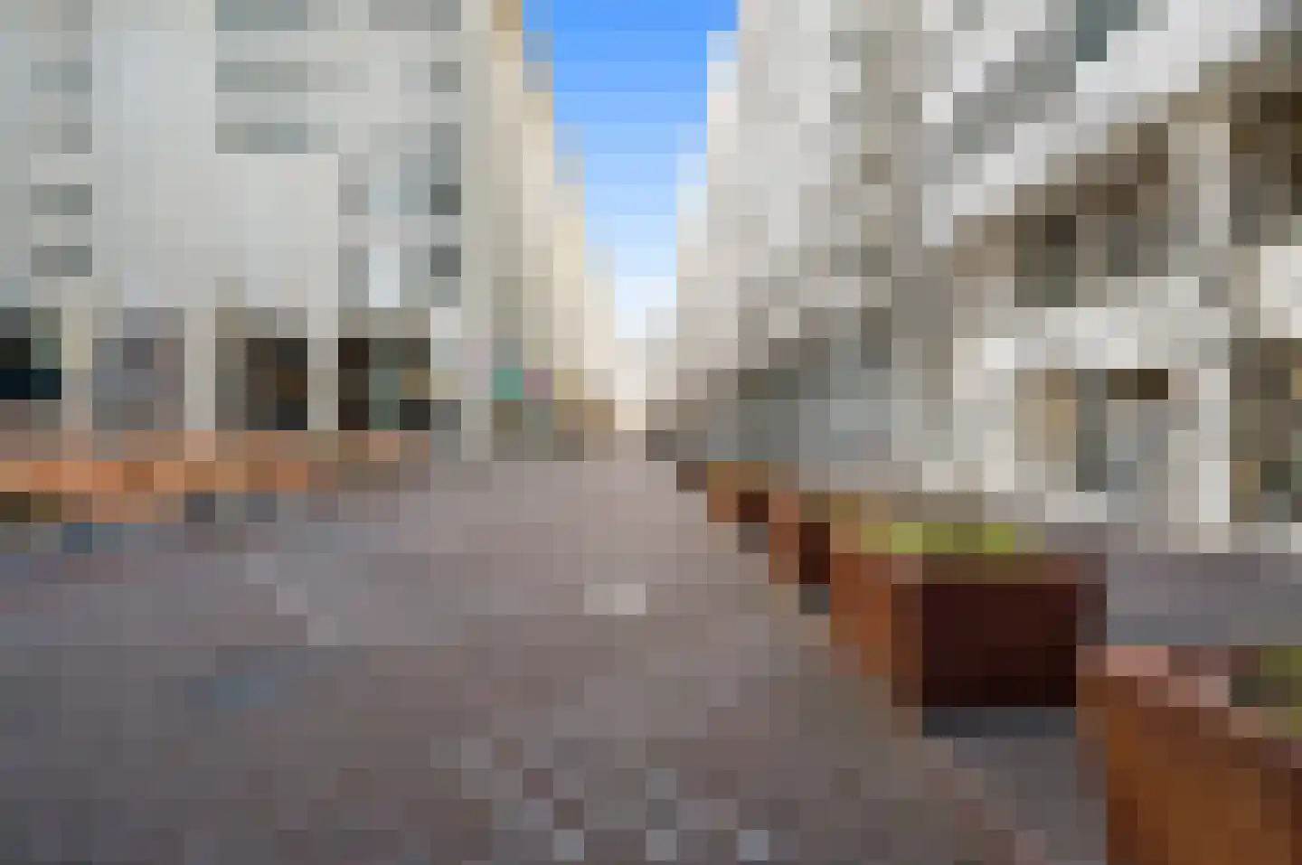 Calliopestraat 7 Den Haag thumbnail 33