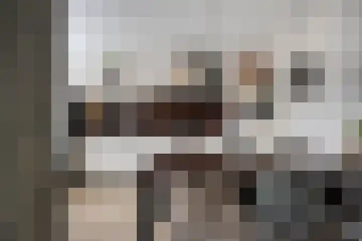 Callistopad 22 Helmond thumbnail 17