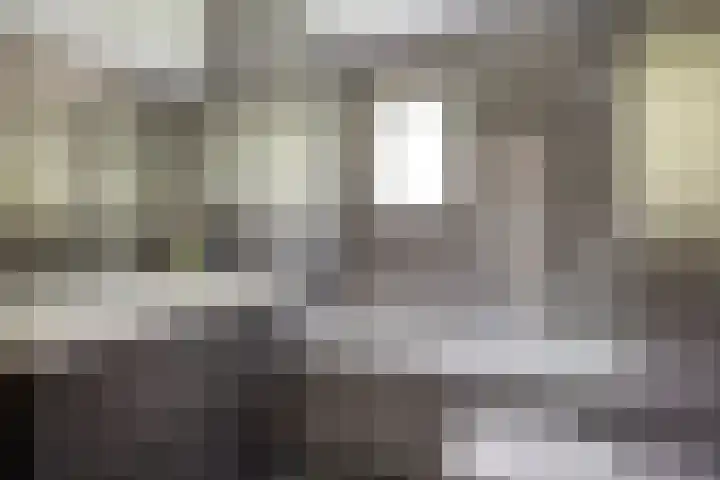 Callistopad 22 Helmond thumbnail 24