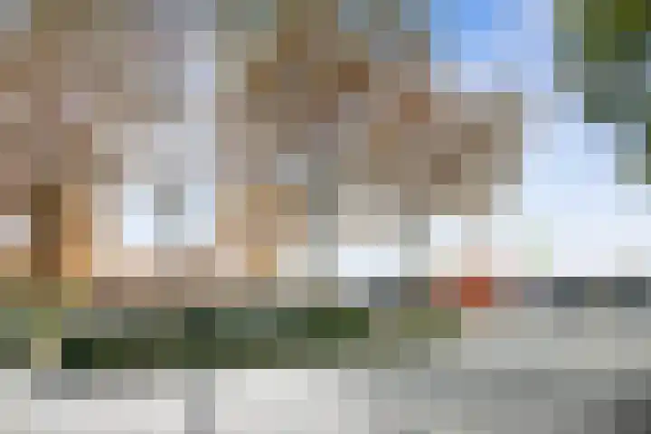 Callistopad 22 Helmond thumbnail 27