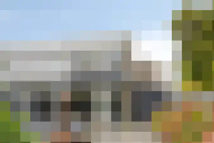 Callistopad 22 Helmond thumbnail 4