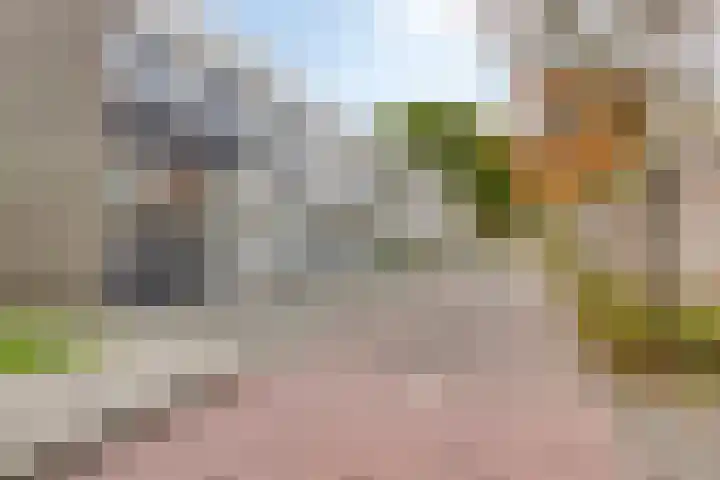 Callistopad 22 Helmond thumbnail 7
