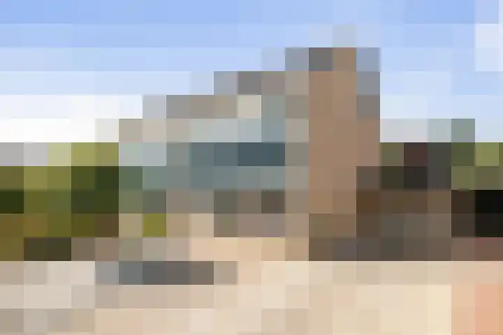 Callistopad 6 Helmond thumbnail 14