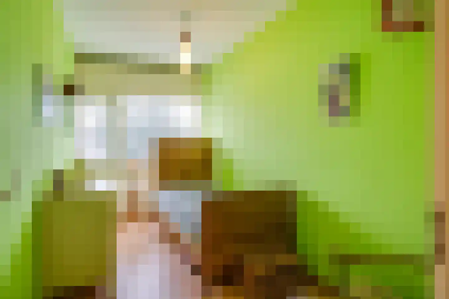Callistopad 6 Helmond thumbnail 19