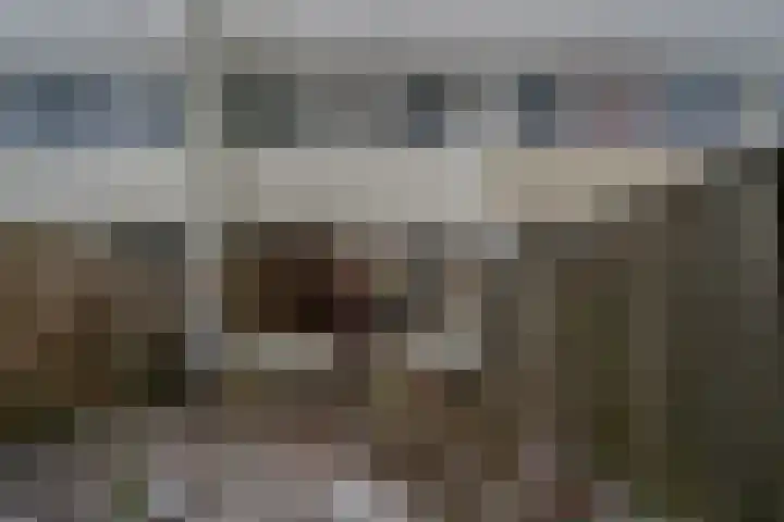 Callistopad 6 Helmond thumbnail 25
