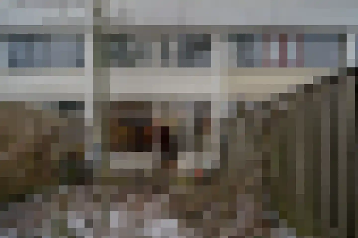 Callistopad 6 Helmond thumbnail 25