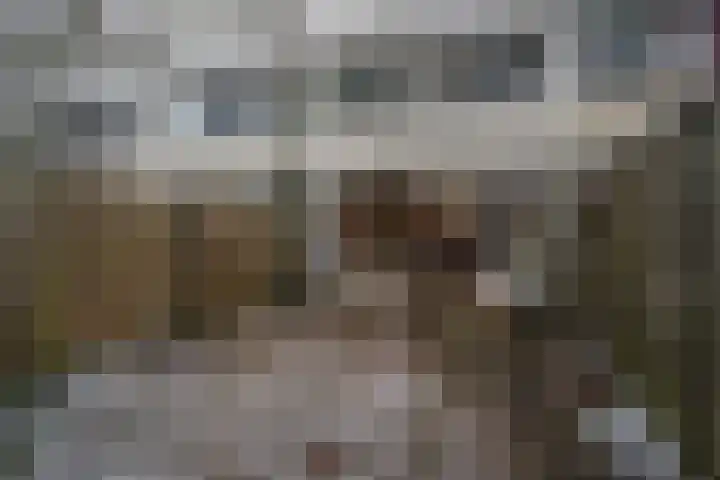 Callistopad 6 Helmond thumbnail 26