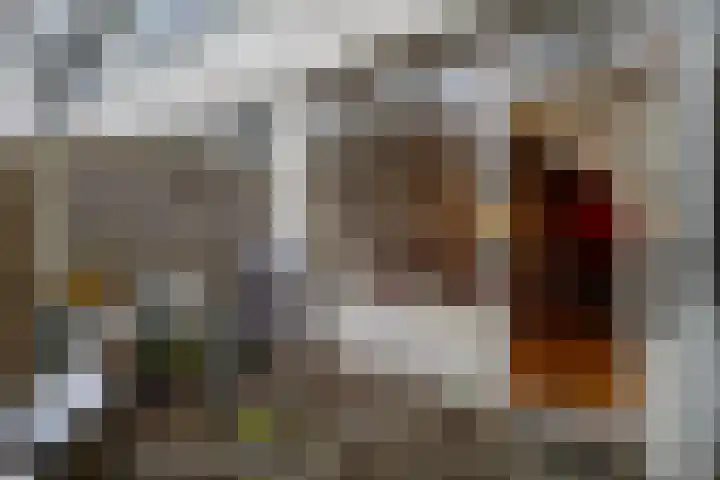 Callistopad 6 Helmond thumbnail 27