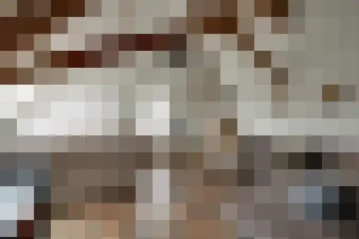 Callistopad 6 Helmond thumbnail 28