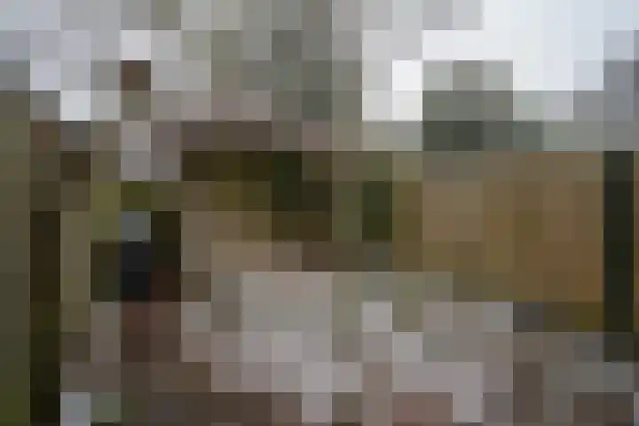 Callistopad 6 Helmond thumbnail 29