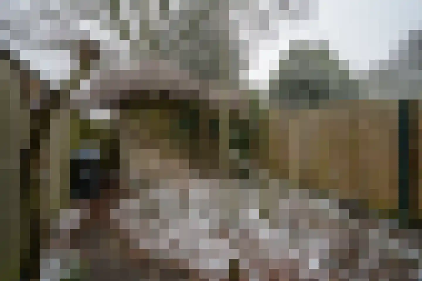 Callistopad 6 Helmond thumbnail 29