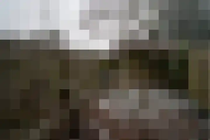 Callistopad 6 Helmond thumbnail 30