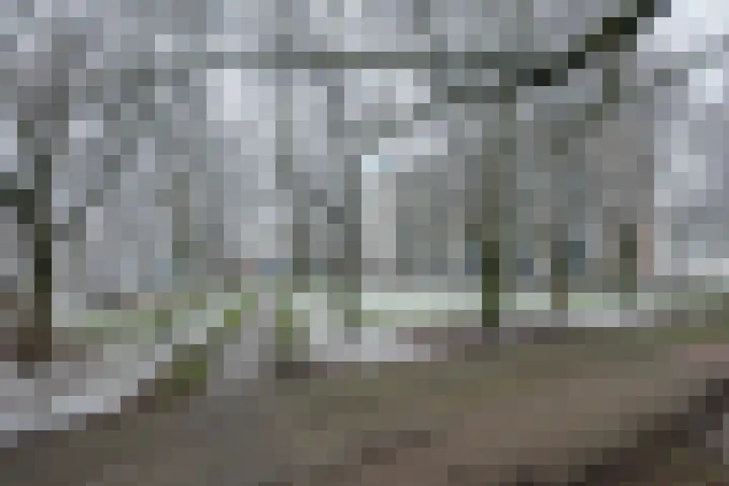 Callistopad 6 Helmond thumbnail 32