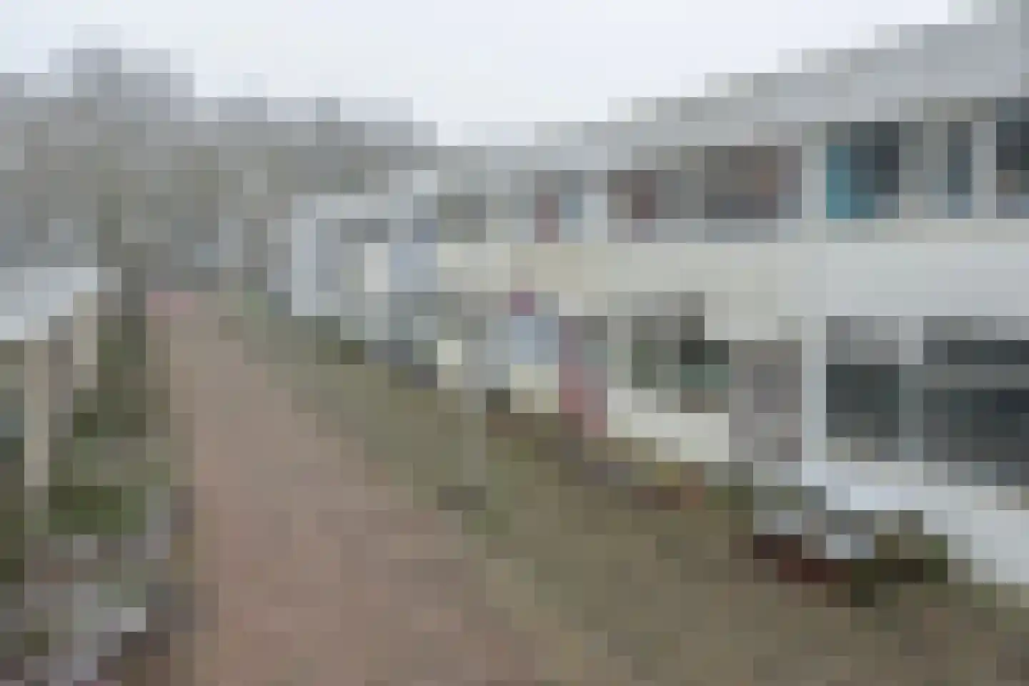 Callistopad 6 Helmond thumbnail 33