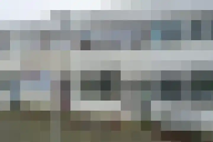 Callistopad 6 Helmond thumbnail 35