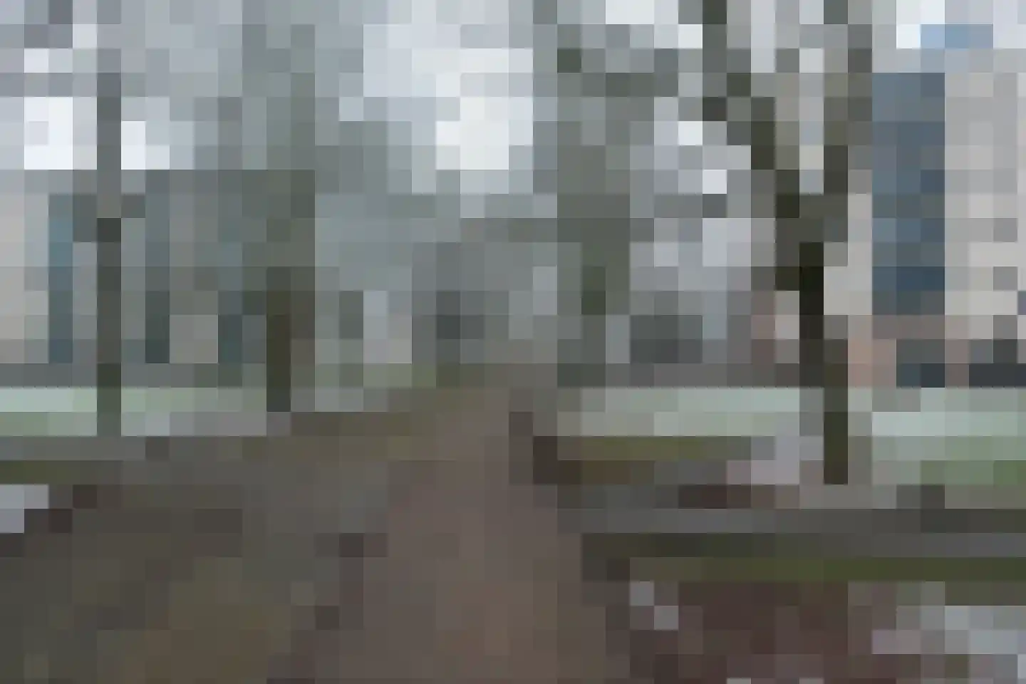 Callistopad 6 Helmond thumbnail 36