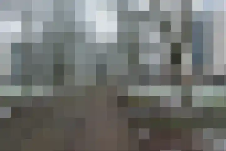 Callistopad 6 Helmond thumbnail 36