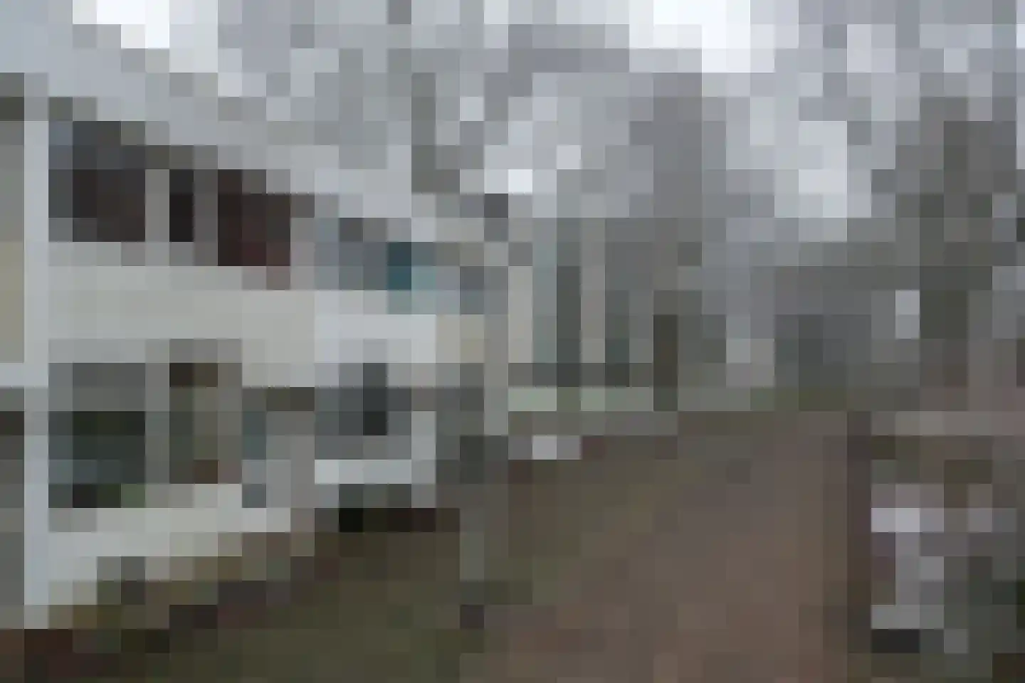 Callistopad 6 Helmond thumbnail 37